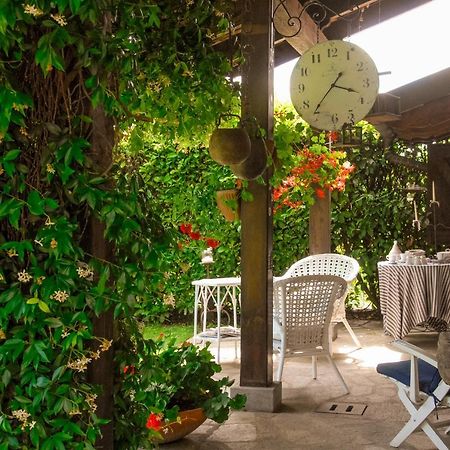 ビエッラ イル ゴミｰトロ Bed & Breakfast エクステリア 写真