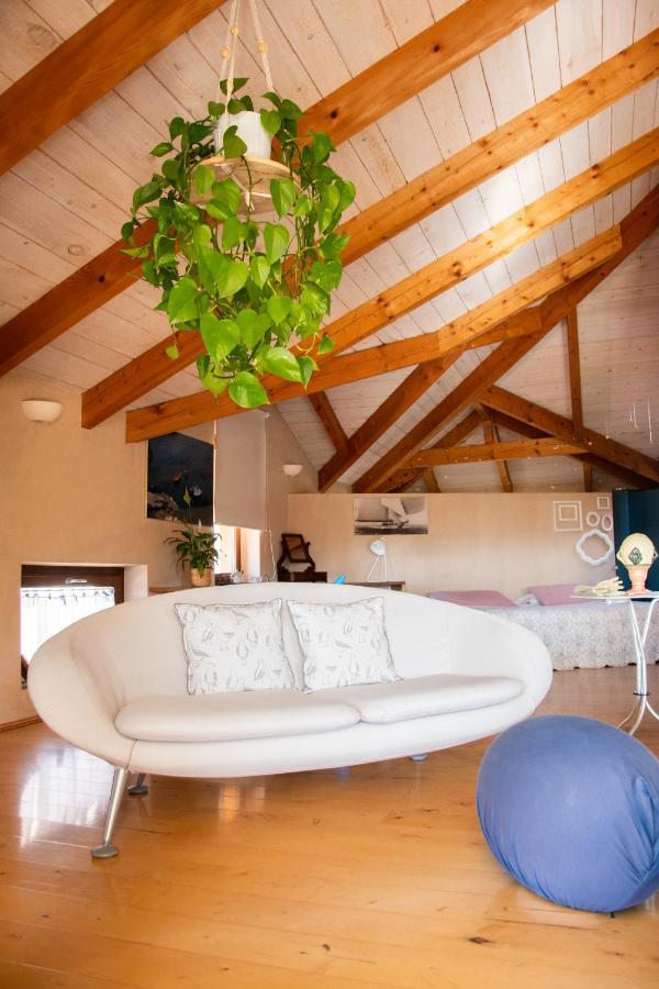 ビエッラ イル ゴミｰトロ Bed & Breakfast エクステリア 写真